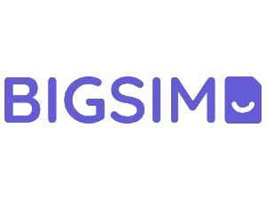 BIGSIM BIGSIM