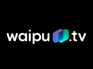 Zum Beitrag: waipu.tv Black Week Angebot: Perfect Plus inkl. WOW Filme & Serien: 5 € Grundgebühr für die ersten 12 Monate